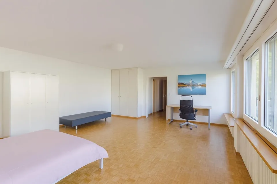 Cozy beautiful studio in Thalwil