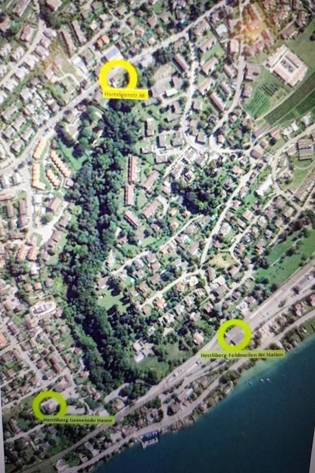 Helle 4.5‑Zimmer‑Wohnung im Minergie‑Standard mit Blick auf den Rossbach‑Wald – Herrliberg Goldküste