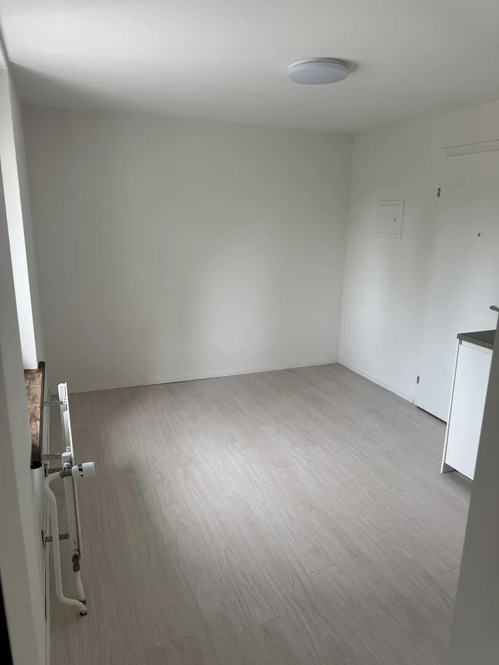 Ein Zimmerwohnung zu vermieten