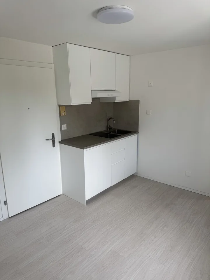 Ein Zimmerwohnung zu vermieten