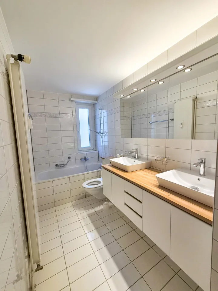 Erstvermietung: 107 m² auf 3.5 Zimmer am Zolli komplett renoviert, 2 Balkone und Wintergarten