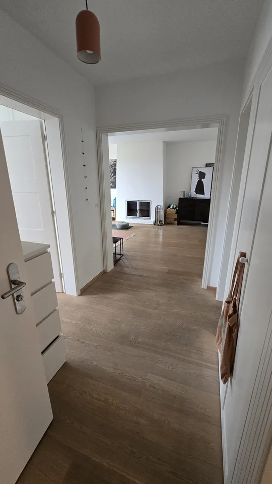 4102 Binningen - CHF 500 inkl. NK pro Monat