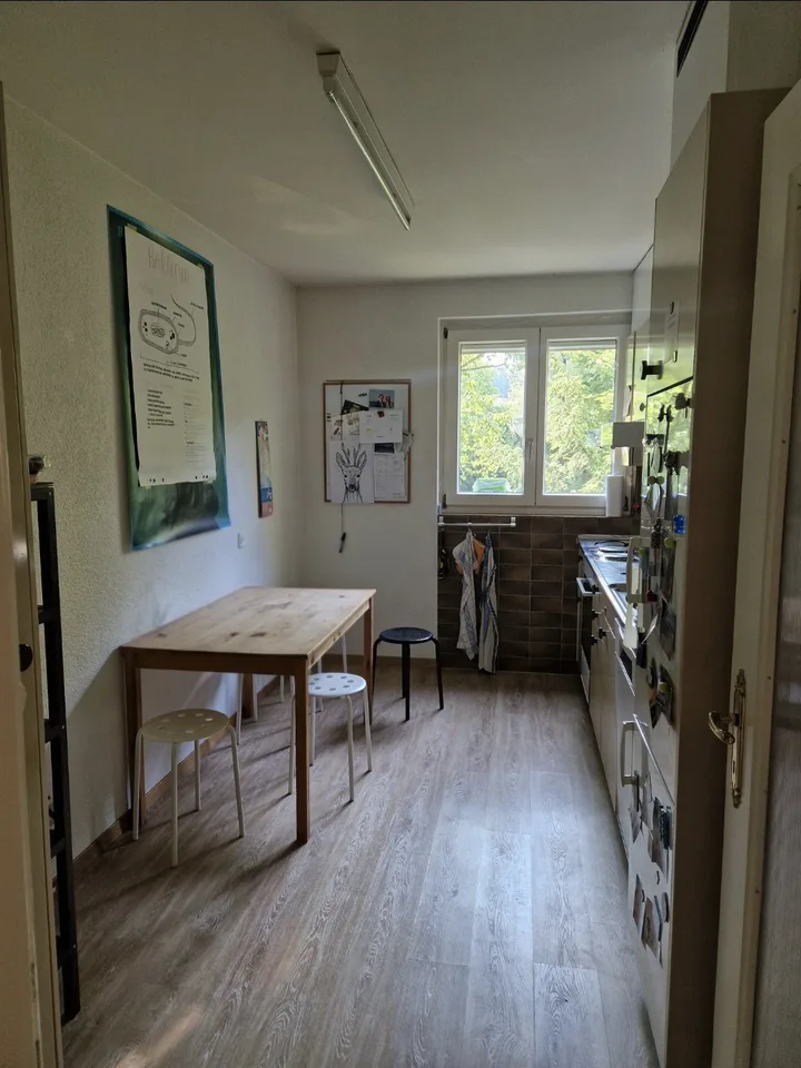 Nachmieter*in gesucht für gemütliche 3.5-Zimmer-Wohnung – ab 1. September
