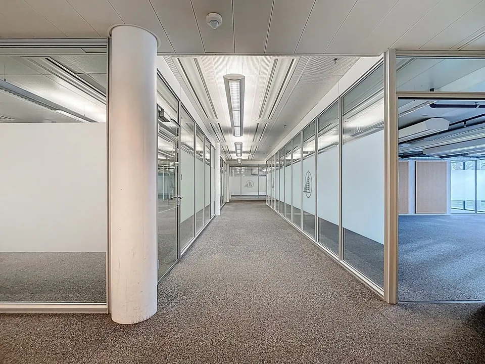 SURFACE COMMERCIALE DE 1450 M² ENV. DIVISIBLE AU REZ-DE-CHAUSSÉE – Foto 9 von 13