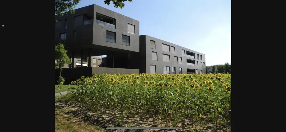 moderne 2.5 Zimmer Wohnung Rothrist