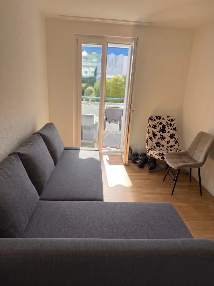 Modern Furnished 3-Room Apartment with Lake View – Available Nov-Jan