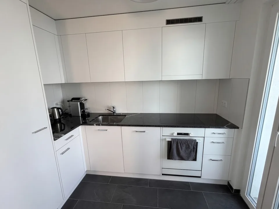 Modern Furnished 3-Room Apartment with Lake View – Available Nov-Jan