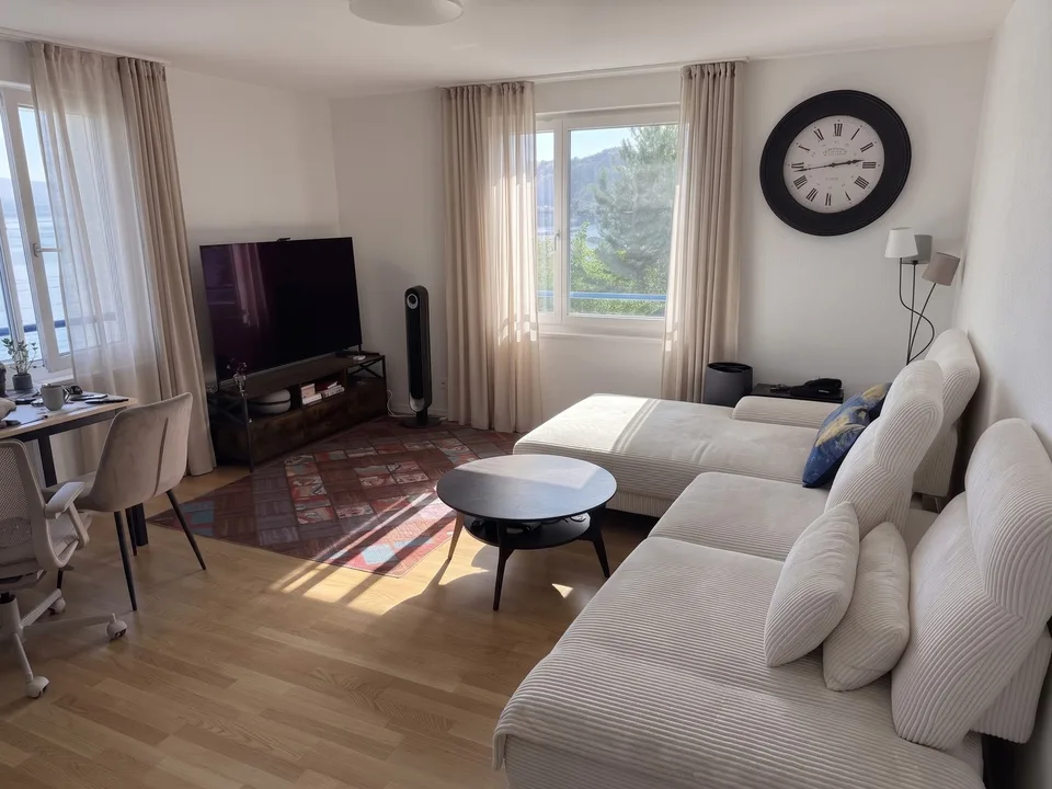 Modern Furnished 3-Room Apartment with Lake View – Available Nov-Jan