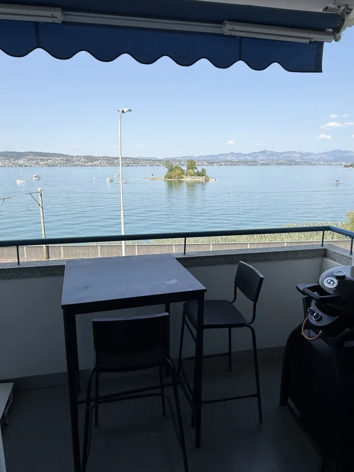 Modern Furnished 3-Room Apartment with Lake View – Available Nov-Jan