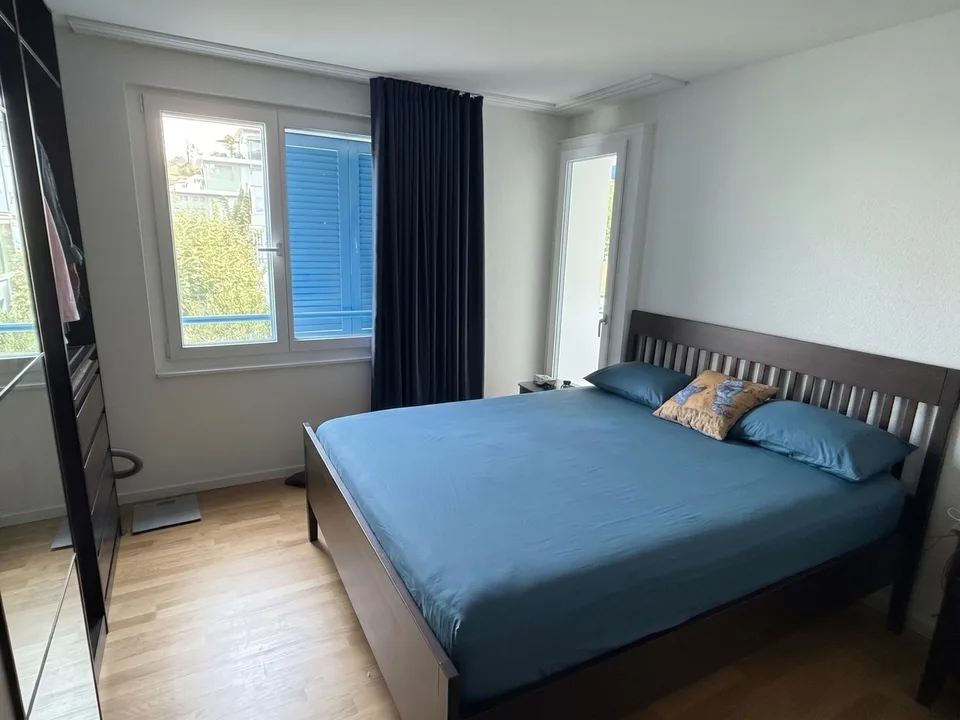 Modern Furnished 3-Room Apartment with Lake View – Available Nov-Jan