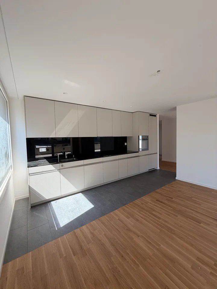 Moderne 4.5-Zimmer-Wohnung mit grosser Terrasse in Tagelswangen