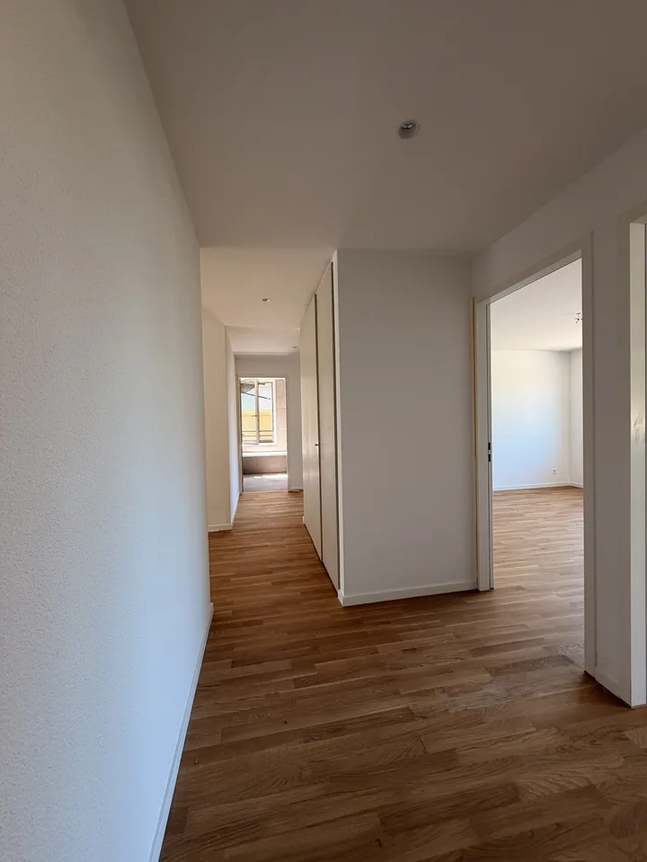 Moderne 4.5-Zimmer-Wohnung mit grosser Terrasse in Tagelswangen
