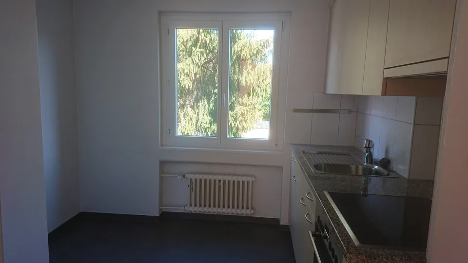 Schaffhauserstrasse, 15, 8240 Thayngen - CHF 1’290 inkl. NK pro Monat