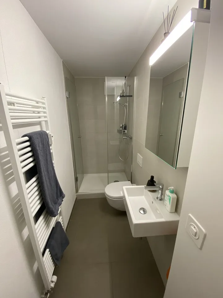 3.5 Zimmerwohnung zur Untermiete (6 Monate) – foto 19 di 25