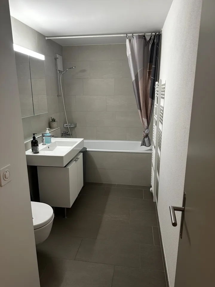 3.5 Zimmerwohnung zur Untermiete (6 Monate) – foto 17 di 25