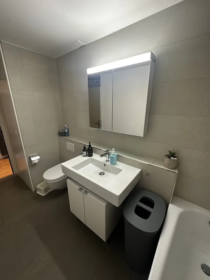 3.5 Zimmerwohnung zur Untermiete (6 Monate) – foto 18 di 25