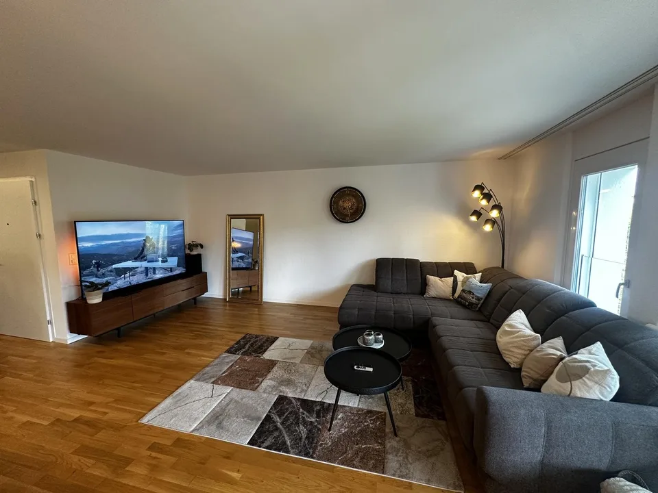 3.5 Zimmerwohnung zur Untermiete (6 Monate) – foto 2 di 25