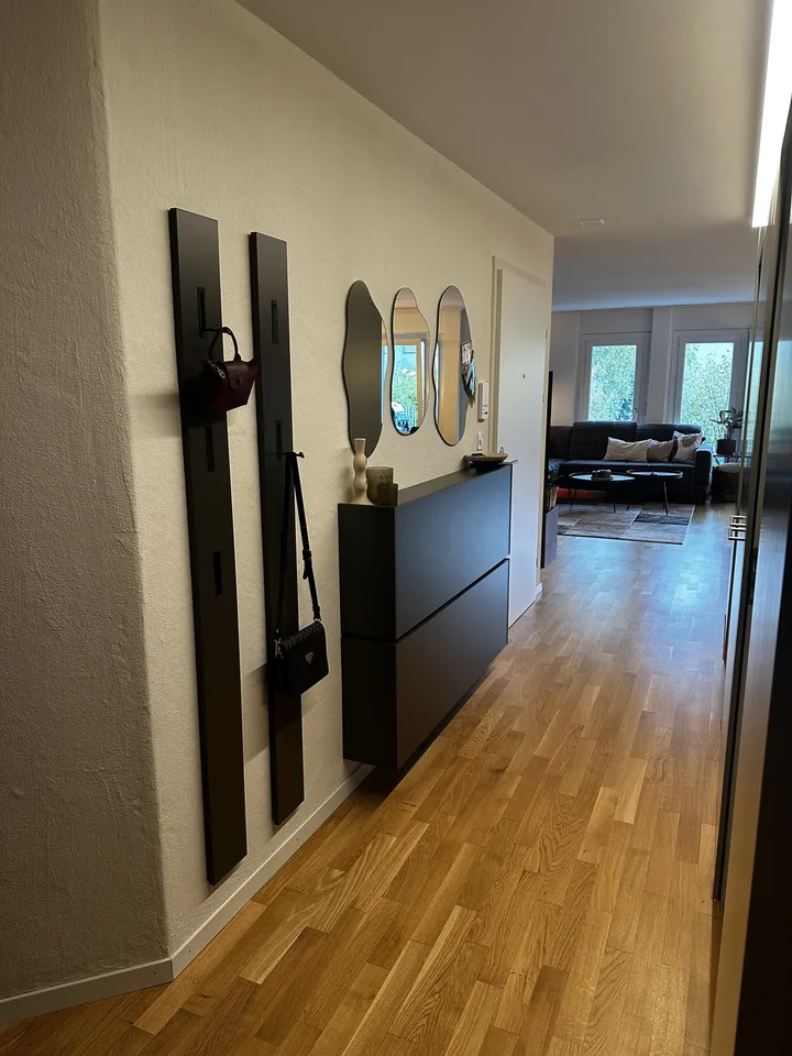 3.5 Zimmerwohnung zur Untermiete (6 Monate) – foto 11 di 25