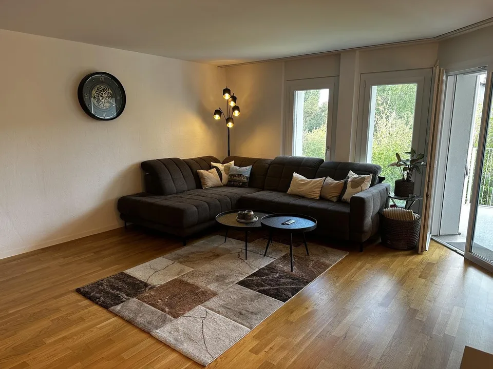 3.5 Zimmerwohnung zur Untermiete (6 Monate) – foto 4 di 25