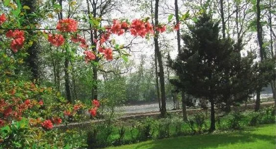 Ruhiges Zimmer an der Limmat