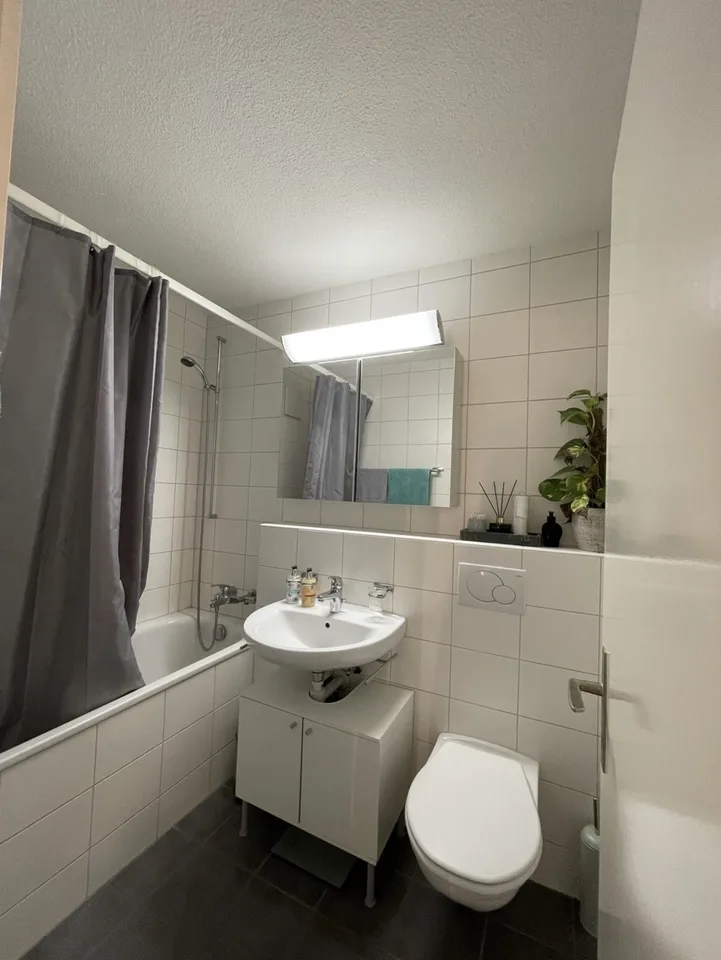 Parquet flooring, Tumbler, Washing machine, Cable, Dishwasher, Lift, Balcony/Garden