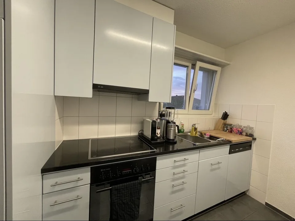 Parquet flooring, Tumbler, Washing machine, Cable, Dishwasher, Lift, Balcony/Garden