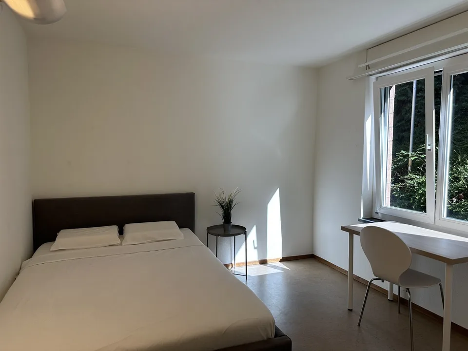 Furnished Student and Expat Housing in Zollikon – photo 7 sur 13