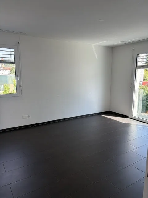Appartement spacieux 4.5 pièces à Zofingen