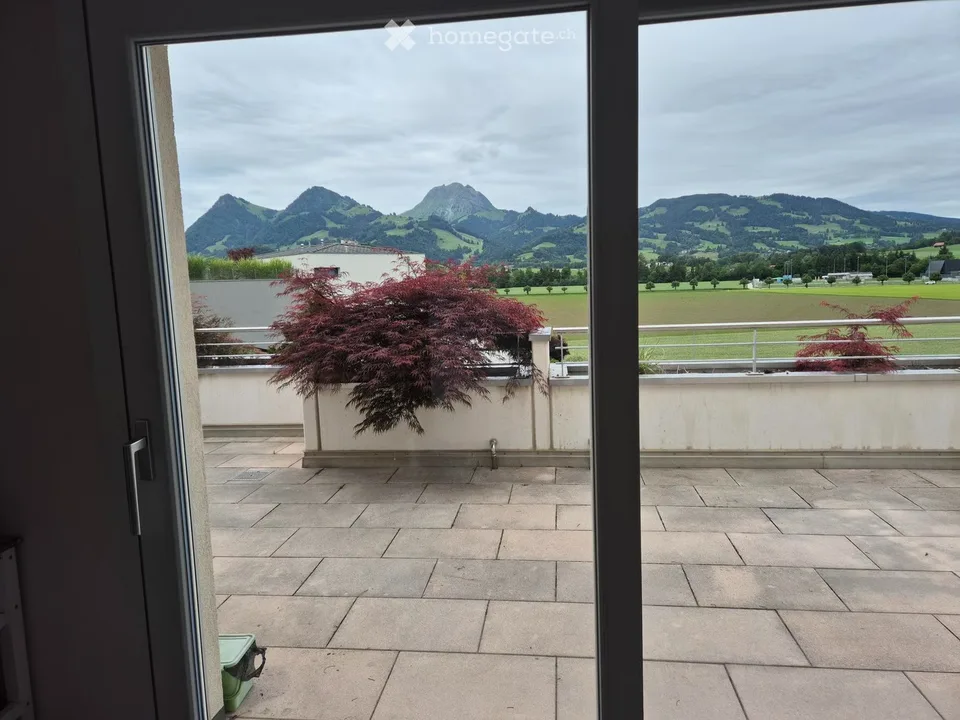 Prächtige 3.5 Zimmer (110m2 + Bonuszimmer) - Große Terrasse