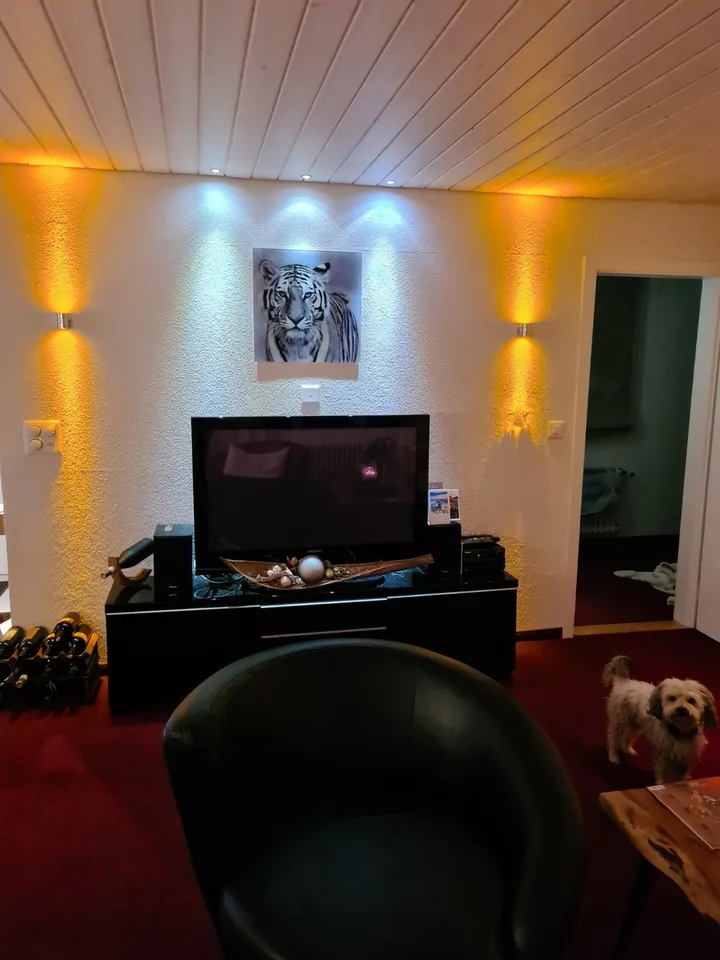 Gemütliches, freistehendes 4½-Zimmer-Chalet für Dauermieter oder Ortsansässige