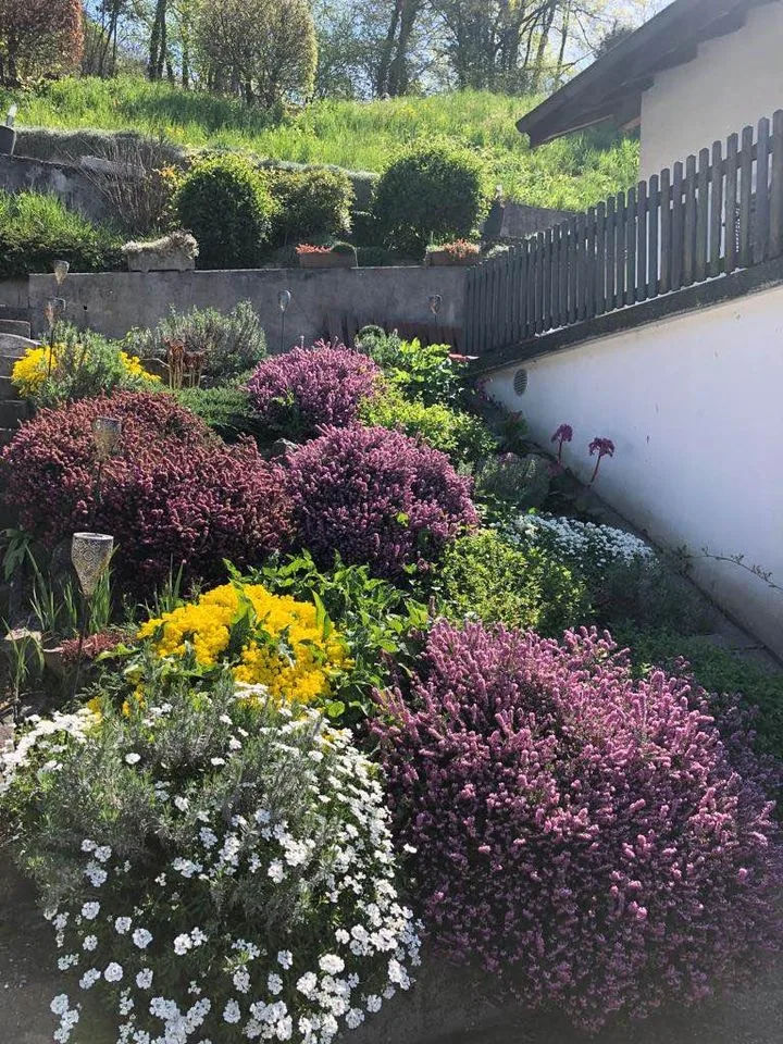 Magnifique 3 pièces avec balcon et terrasse