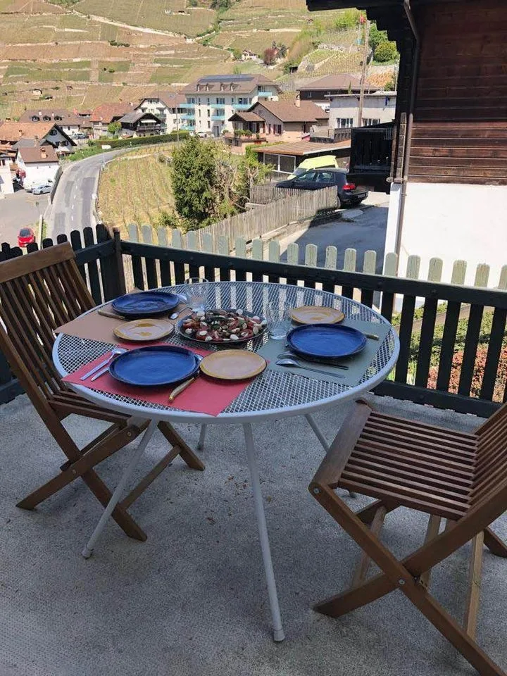 Magnifique 3 pièces avec balcon et terrasse