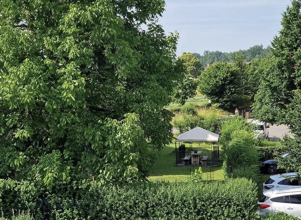 WG-Zimmer Kanton Zug mit grossem Garten und LiveEasy Angebot (möbliert und unmöbliert möglich)