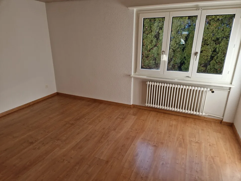 Gemütliche 4.5-Zimmer Wohnung im idyllischen Mühlau