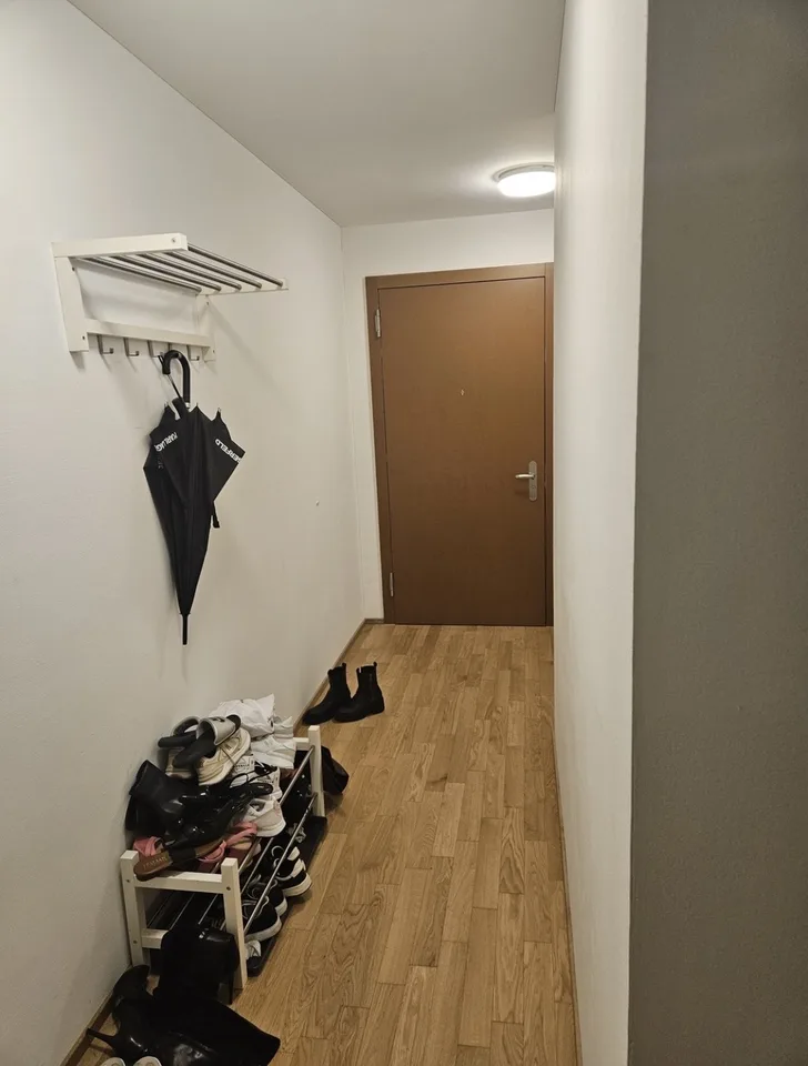 🌿 Nachmieter/-in gesucht: Schönes Zimmer in 3er-WG an genialer Lage in Horw - per 1. Oktober