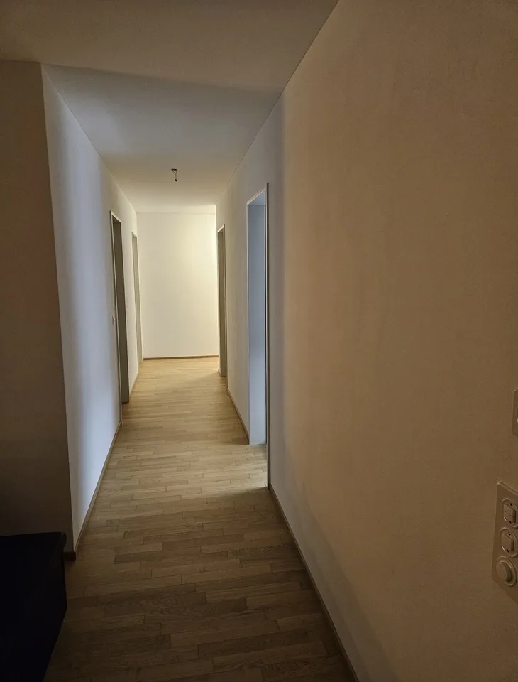 🌿 Nachmieter/-in gesucht: Schönes Zimmer in 3er-WG an genialer Lage in Horw - per 1. Oktober