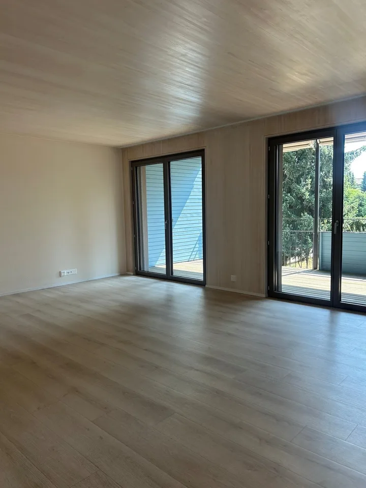 Bello appartamento 2.5 locali in affitto
