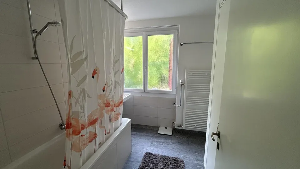 WG-Gspändli gesucht 🏡🌿