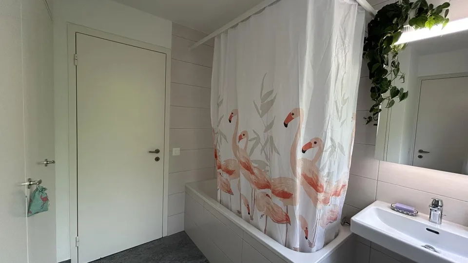 WG-Gspändli gesucht 🏡🌿
