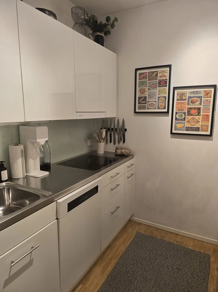 2½ ZI-WOHNUNG IN WINTERTHUR, MÖBLIERT, TEMPORÄR – photo 5 of 16