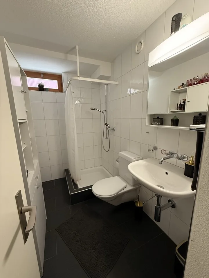 Helle 1-Zimmer-Wohnung mit modernem Ausbau und eigenem Sitzplatz in Rupperswil