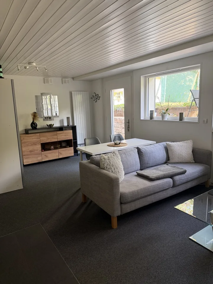 Helle 1-Zimmer-Wohnung mit modernem Ausbau und eigenem Sitzplatz in Rupperswil