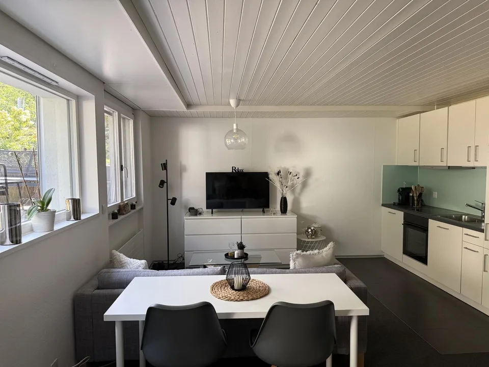 Helle 1-Zimmer-Wohnung mit modernem Ausbau und eigenem Sitzplatz in Rupperswil