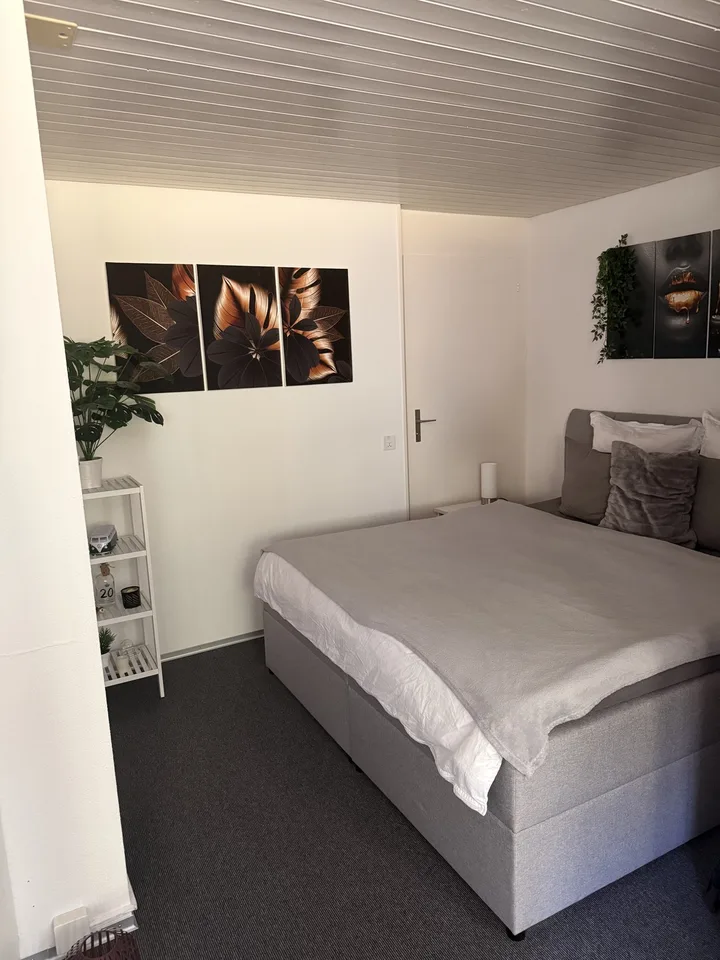 Helle 1-Zimmer-Wohnung mit modernem Ausbau und eigenem Sitzplatz in Rupperswil