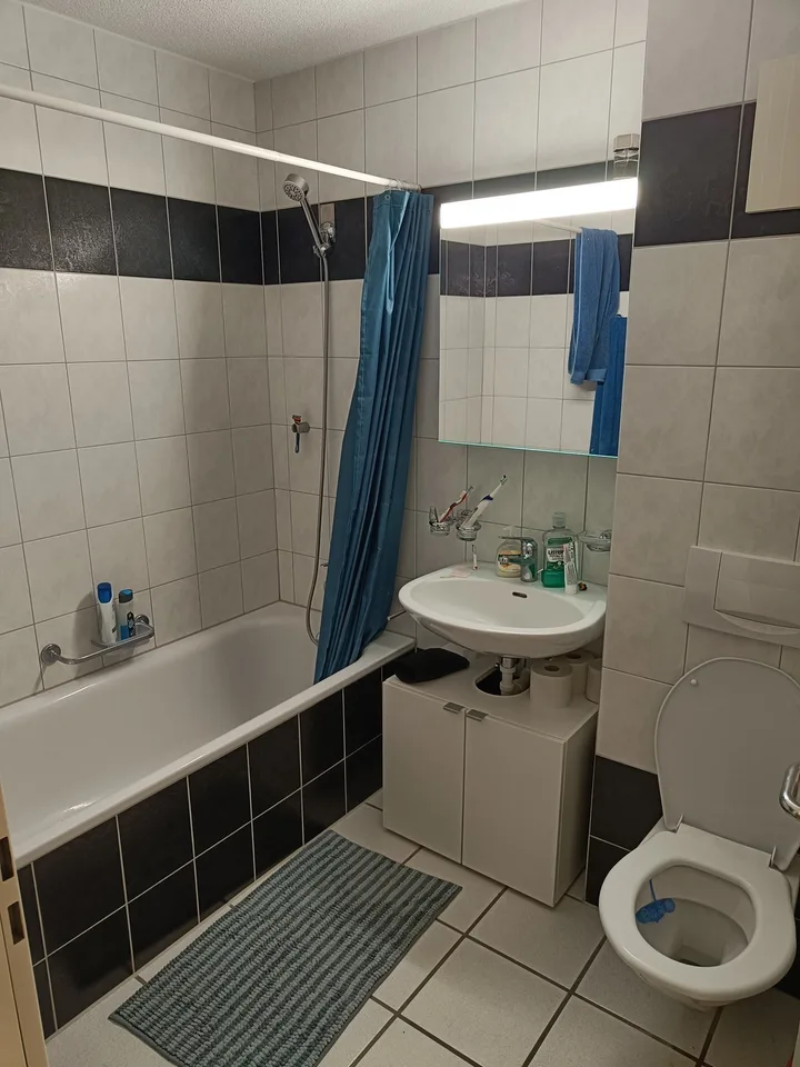 3.5 Zimmer Wohnung in der Nähe von PSI und FHNW als WG Bewohner