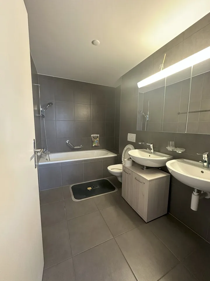 Spacious, modern & well-connected furnished flat in Rheinfelden – 2BR/2BA with winter garden balcony - Sep to Dec