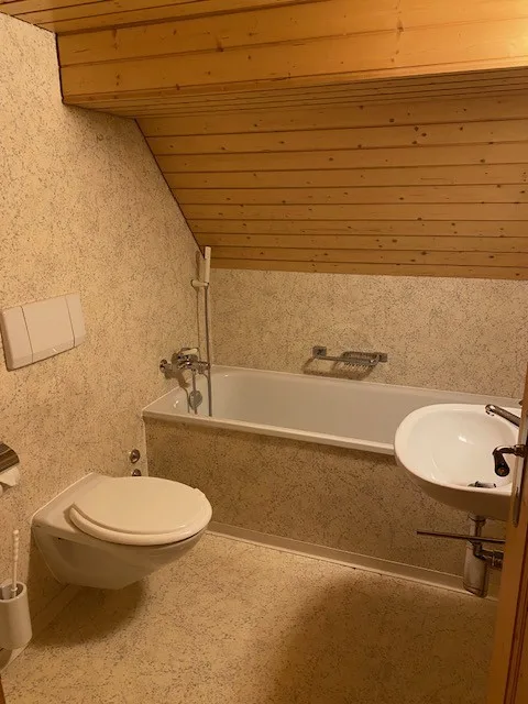 Idyllische 5.5 Zimmerwohnung in Isenthal Uri