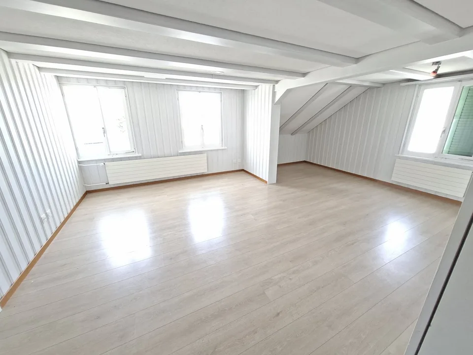 Gemütliche 3 Zimmer Attikawohnung