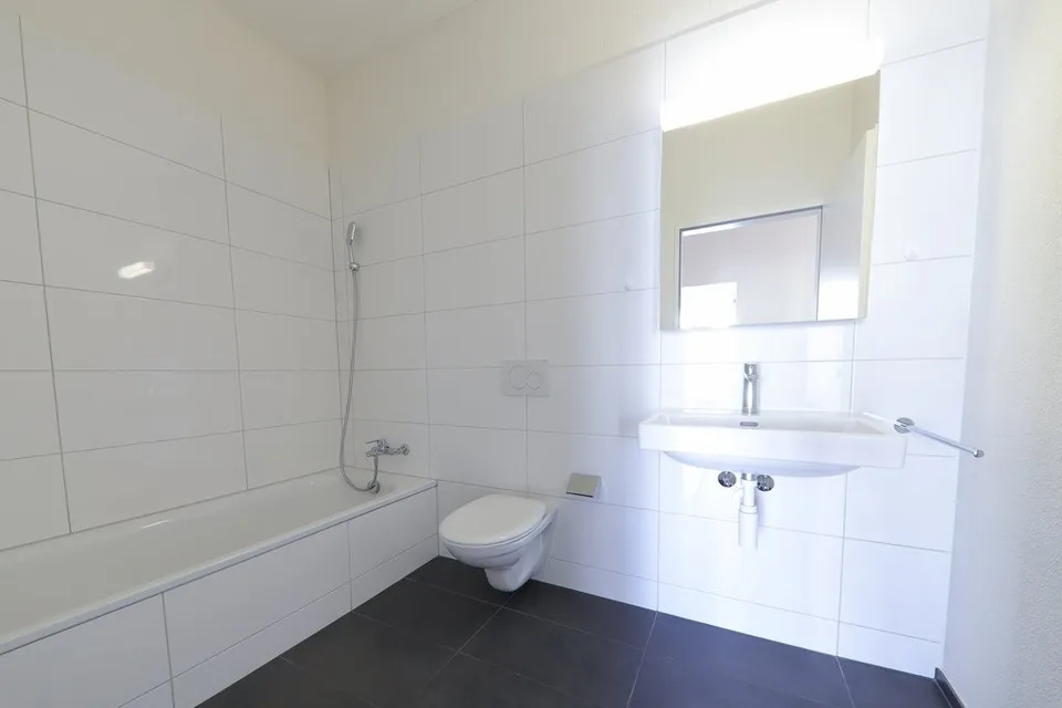 Einzigartige und moderne Maisonettewohnung an der Birs