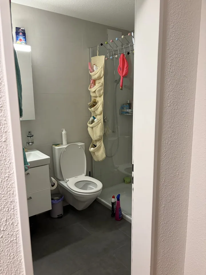 Schwyzerstrasse 25, 6440 Brunnen - CHF 1’900 inkl. NK pro Monat